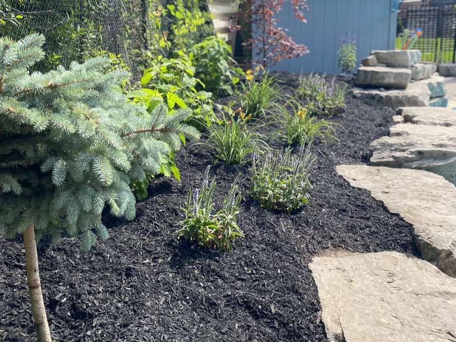 Garden Bed Installation
