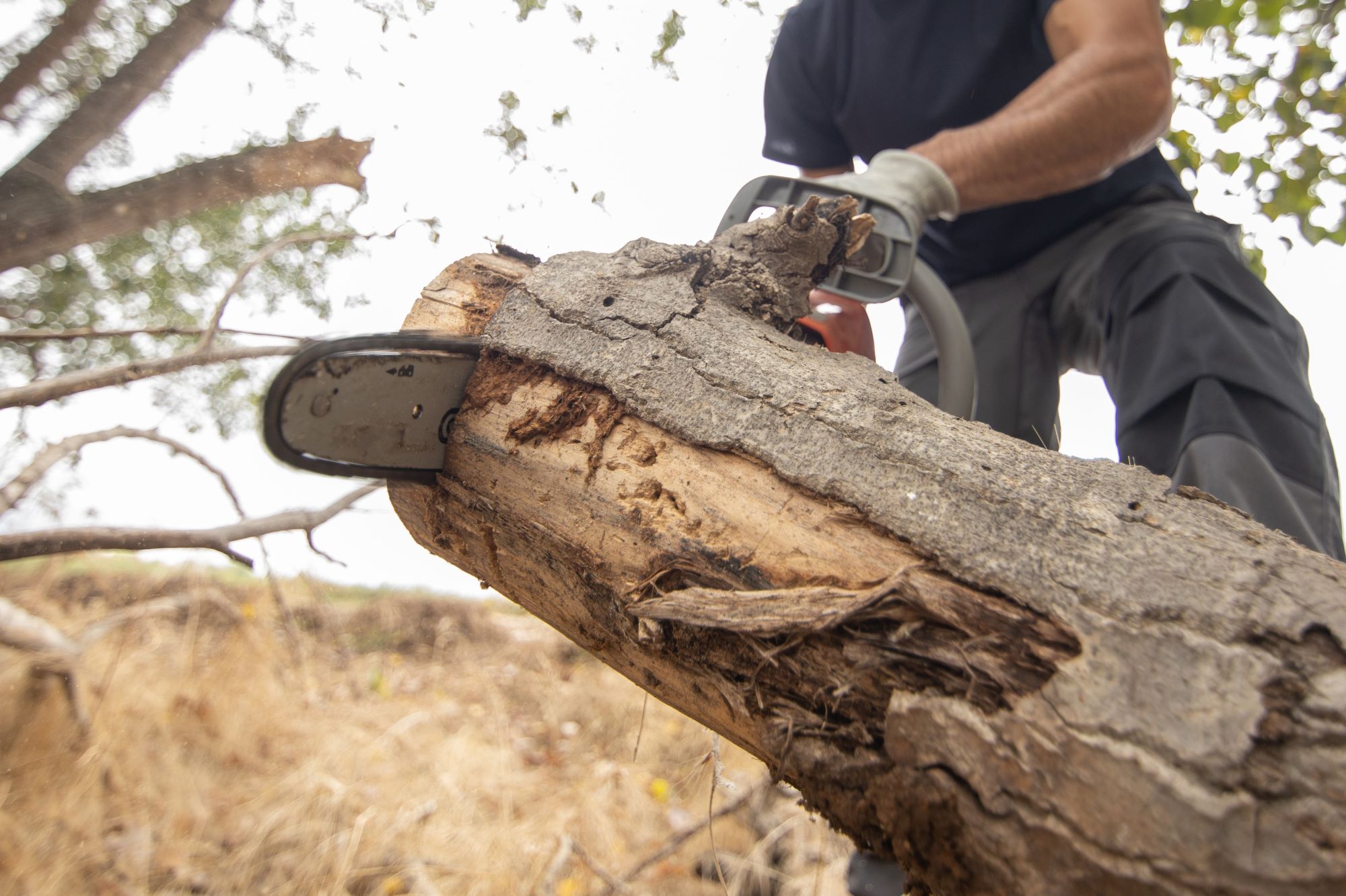 DEMOLITION & REMOVAL SERVICES