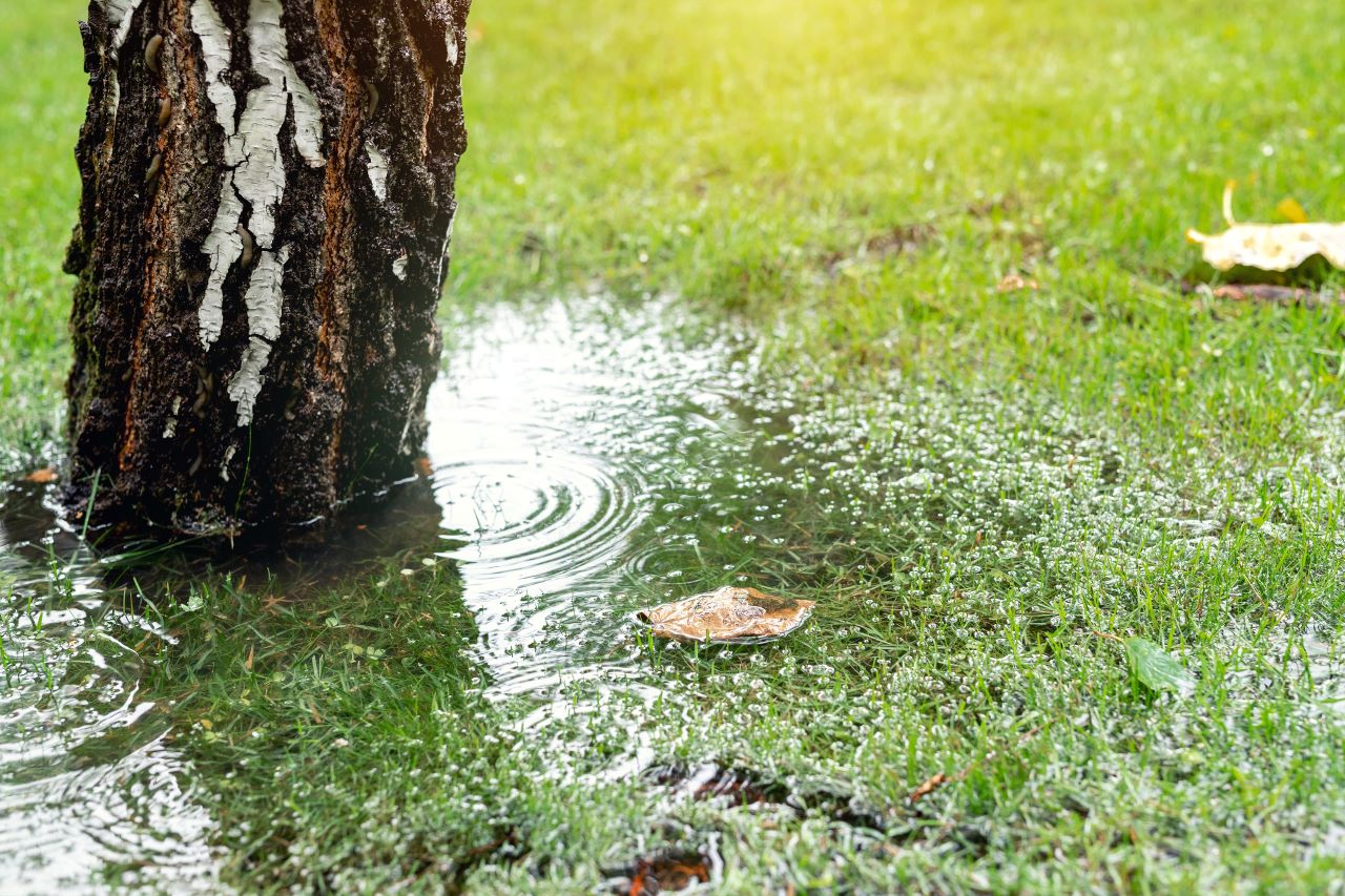 DRAINAGE SOLUTIONS