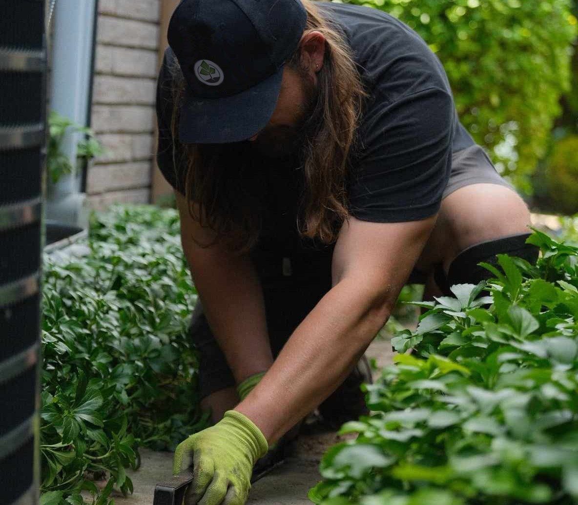 Professional Landscape Services